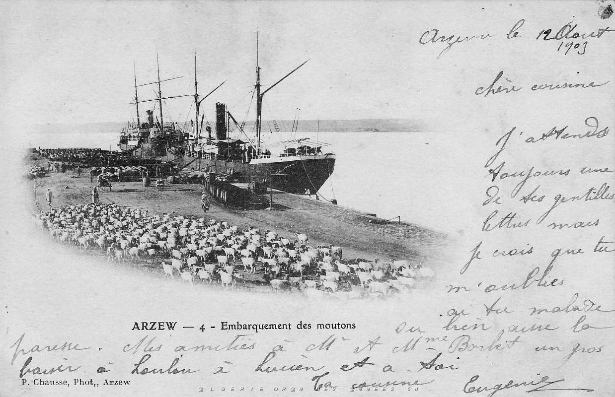 ARZEW embarquement des moutons 1909.jpg
